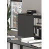 Armoire basse de bureau 2 portes graphite Maily