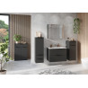 Armoire de toilette graphite avec éclairage Créteil