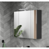 Armoire de toilette graphite avec éclairage Ohayo