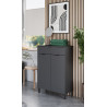 Meuble de rangement moderne de salle de bain graphite Ariana