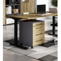 Caisson de bureau mobile chêne/graphite Organza